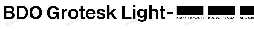BDO Grotesk Light字体转换